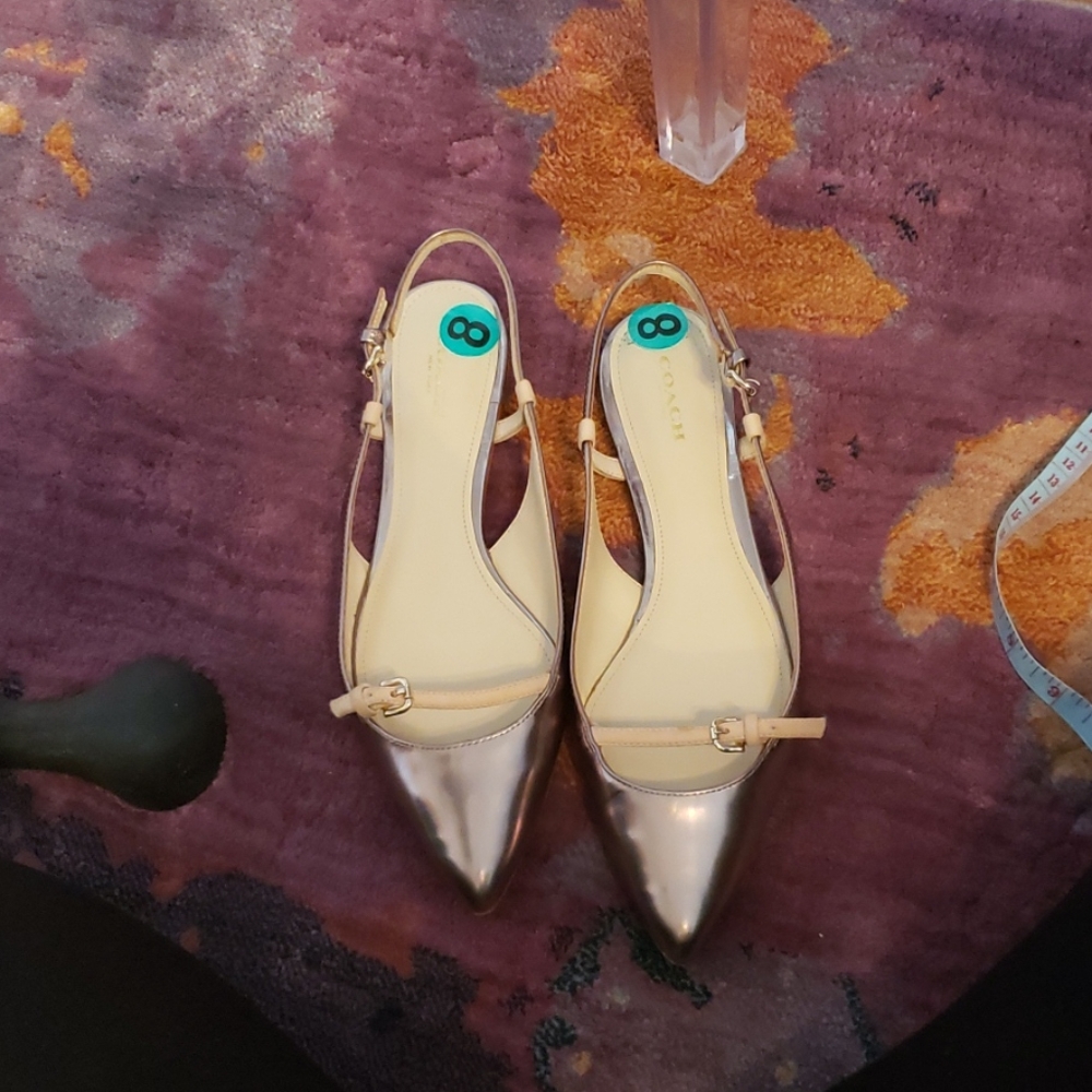 COACH FLATS. SIDE BUCKLE. Metallic pewter shoes.
